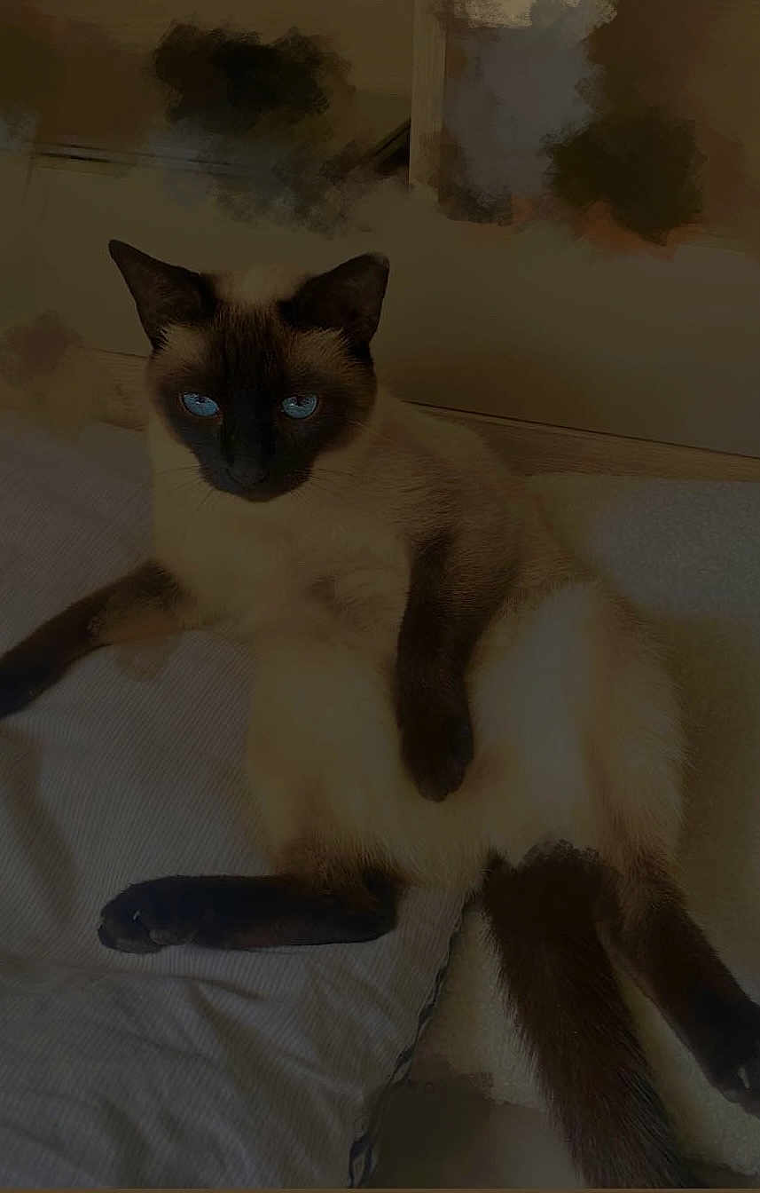 Nala
