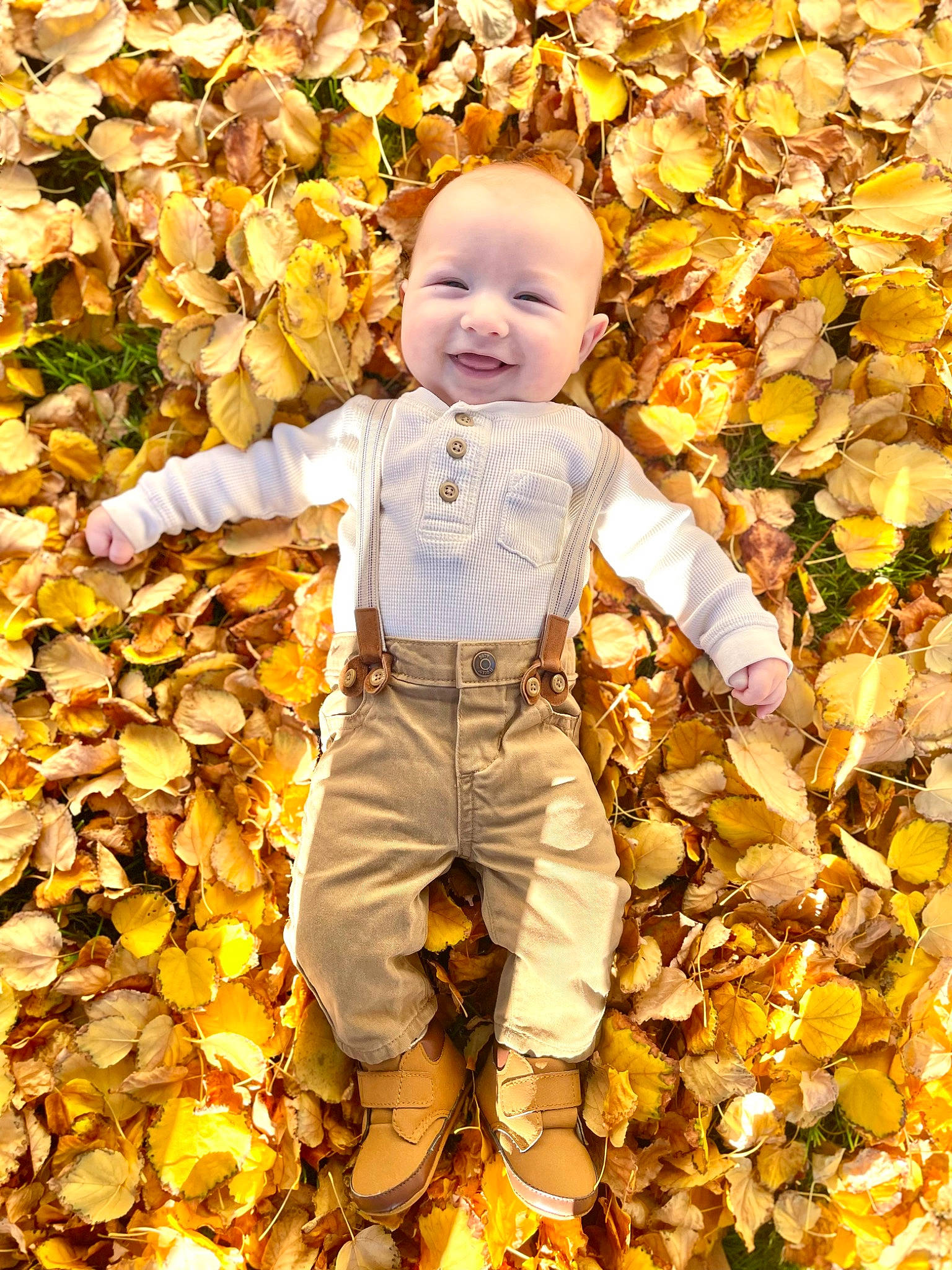 Kane is registered to the contest to win money with this photo: autumn, baby, baby_toddler_clothing, beauty, child, deciduous, fun, gesture, grass, happy, joy, leaf, natural_landscape, orange, people, people_in_nature, person, playing_with_kids, smile, toddler