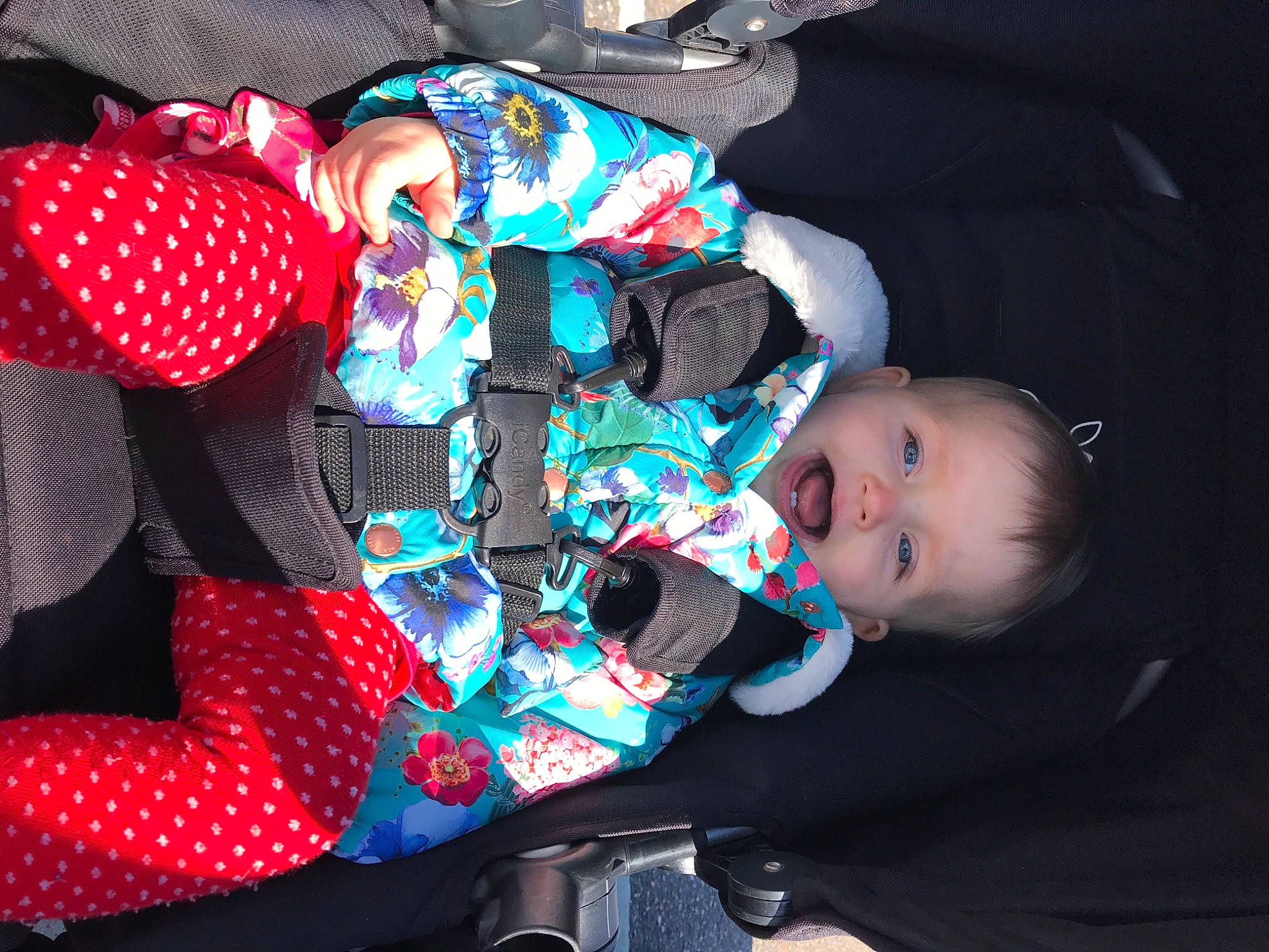 Quincee-beau is registered to the contest to win money with this photo: baby, baby_carriage, baby_products, baby_toddler_clothing, bag, car_seat, carmine, cheek, child, comfort, electric_blue, event, fashion_accessory, fun, holiday, luggage_and_bags, pattern, person, sitting, toddler