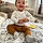 Amir