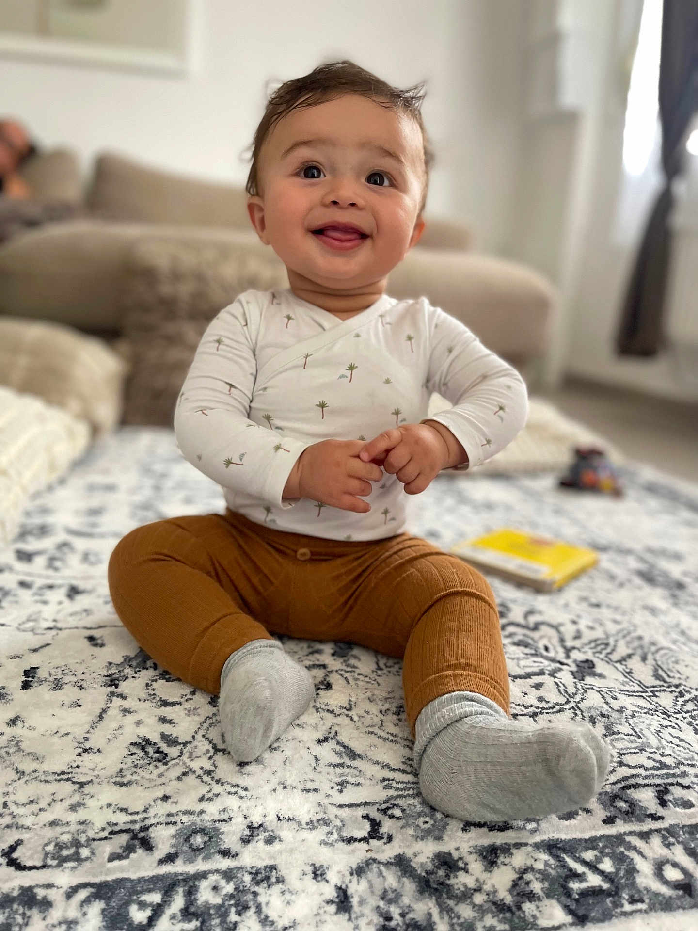 Amir