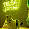 cat, pet, black_and_white, standing, collar, bell, indoor, living_room, carpet, couch, treats, pet_food, wall_sign, neon_lighting, glowing, green_tint, yellow_tint, curious, portrait, home_decor