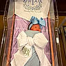 newborn, baby, infant, sleeping, swaddled, bassinet, crib, blanket, bow, headband, blue, purple, nursery, portrait, indoors, textile, embroidery, ribbon, floral, peaceful