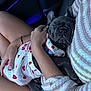 arms, blue_harness, car_interior, clothing, companion, cozy, cute, cute_dog, dog, hand, holding, nail_polish, person, pet, puppy, relaxed, seat, sleeping, strawberry_pattern, striped_sweater