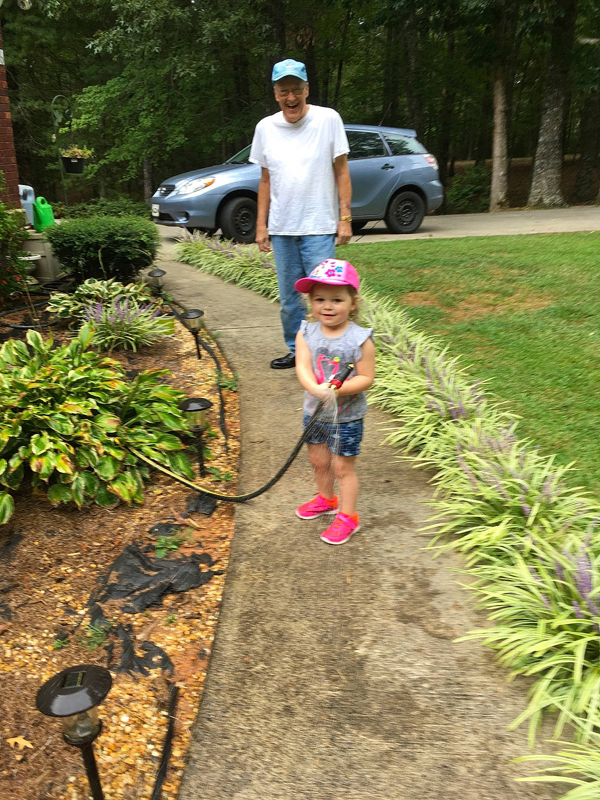 Delyla is registered to the contest to win money with this photo: botany, garden, grass, headwear, joy, leisure, person, plant, plantation, shrub, soil, trail, tree, walking, walkway, yard