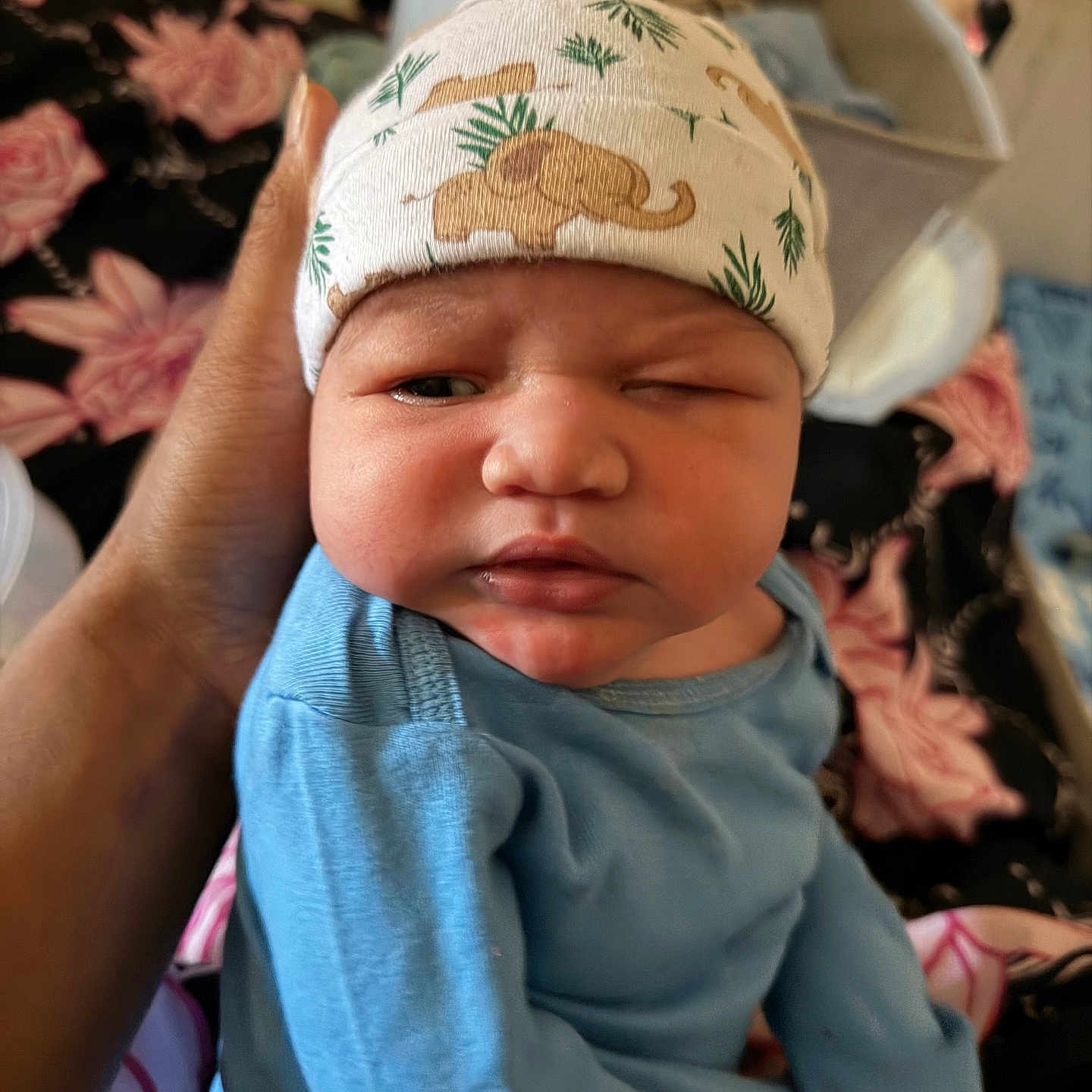 Kyaire joined the competition — help win amazing prizes! baby, infant, child, face, hand, clothing, hat, elephant_pattern, blue_onesie, expression, indoor, person, newborn, cute, squinting, skin, headwear, holding, floral_background, cozy