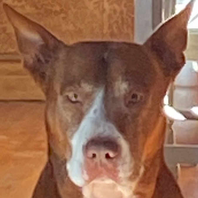 Buster