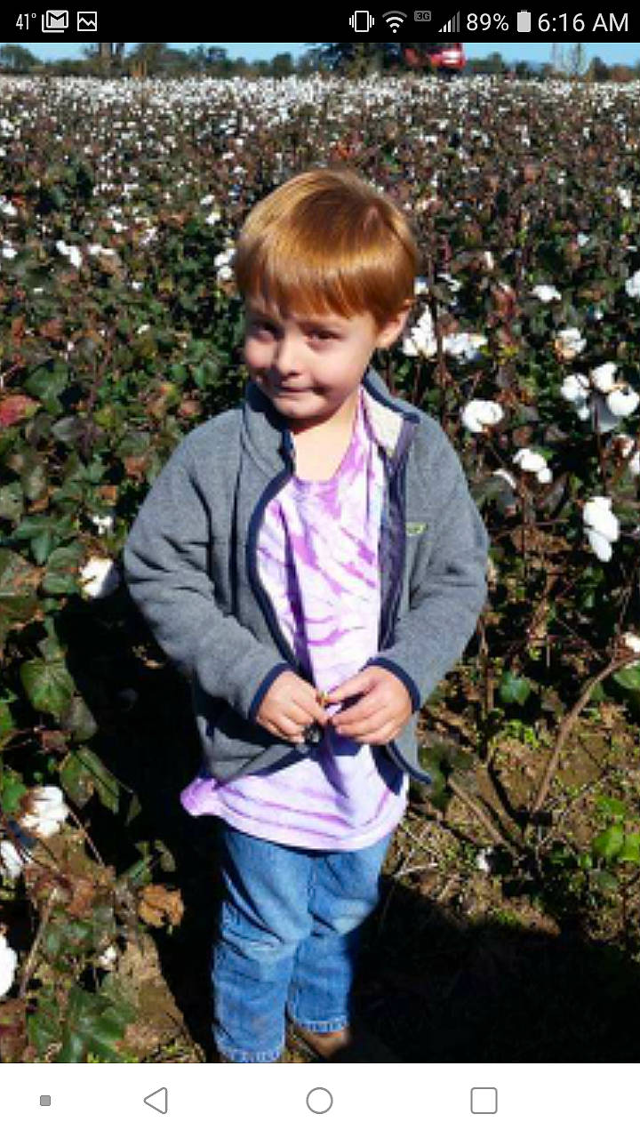 Cayden is registered to the contest to win money with this photo: botany, child, child_model, flower, grass, jacket, outerwear, person, plant, play, sleeve, spring, toddler, tree, violet_family