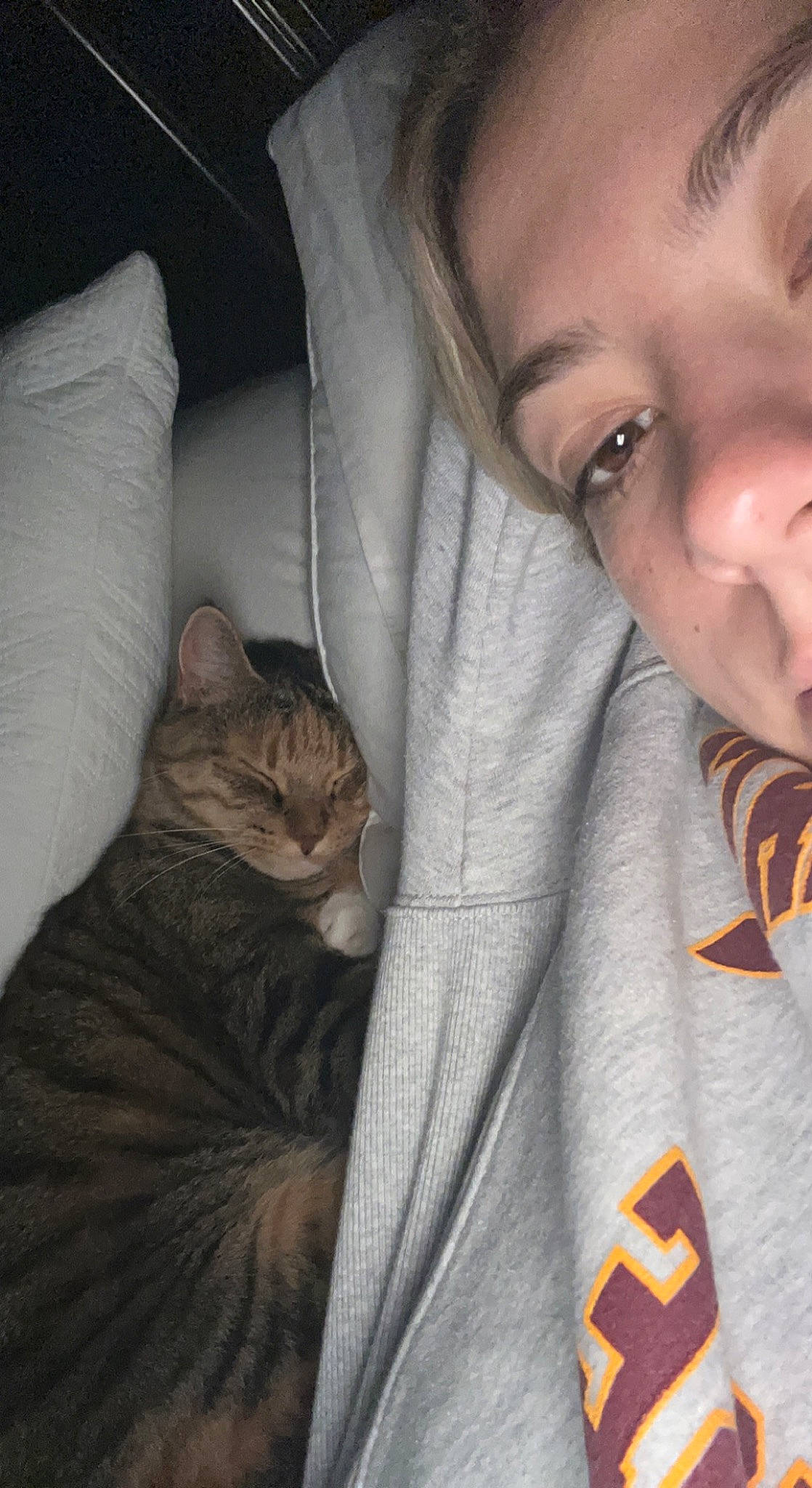 Riley joined the competition — help win amazing prizes! beard, carnivore, cat, comfort, ear, eyelash, facial_hair, felidae, gesture, grey, happy, lip, mammal, mouth, neck, nose, selfie, small_to_medium_sized_cats, vertebrate, whiskers