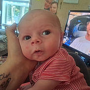 Noah joined the competition — help win amazing prizes! baby, infant, hand, tattoo, striped_shirt, face, person, television, man, living_room, furniture, window, couch, blanket, indoor, portrait, curious, watching, casual, home