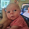 baby, infant, hand, tattoo, striped_shirt, face, person, television, man, living_room, furniture, window, couch, blanket, indoor, portrait, curious, watching, casual, home