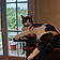 Chatfou