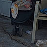 Skarlett joined the competition — help win amazing prizes! baby, blanket, stroller, outdoor, concrete, chair, footwear, person, child, face, toy, clothing, relaxing, daylight, building, door, wall, casual, caption, shadow