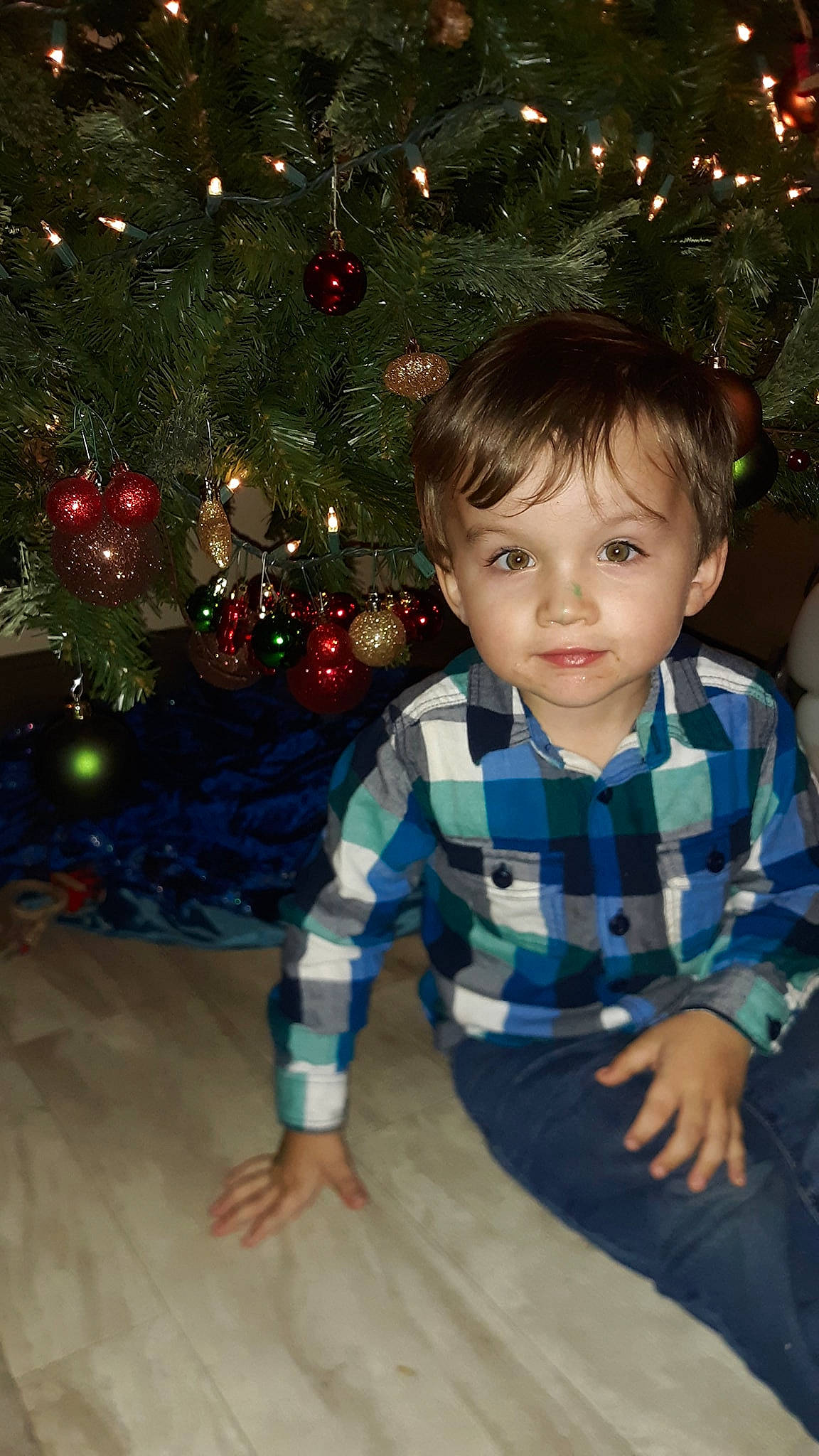 Kolby joined the competition — help win amazing prizes! cheek, child, christmas, christmas_decoration, christmas_eve, christmas_lights, christmas_ornament, christmas_tree, fir, holiday, holiday_ornament, interior_design, person, pine_family, plaid, sitting, smile, standing, toddler, tree