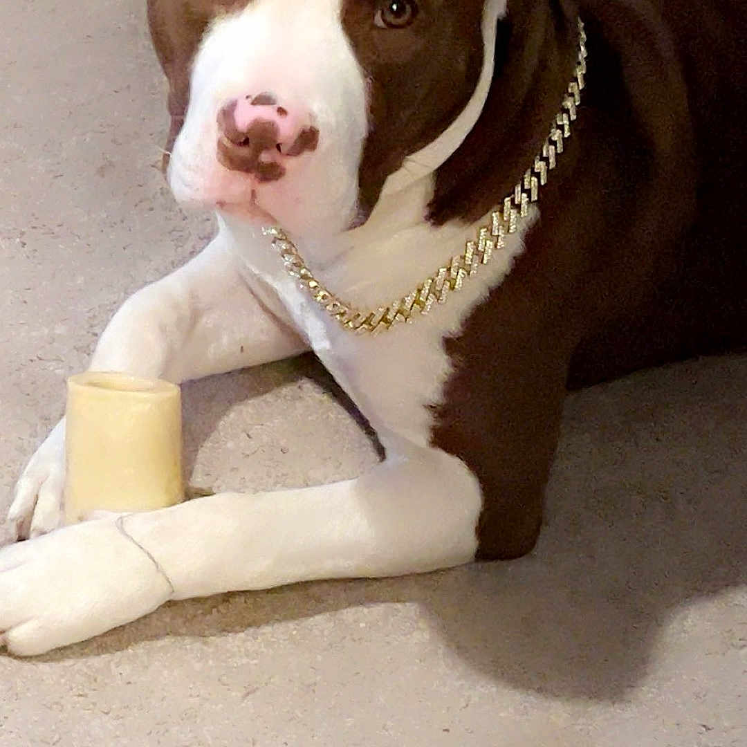 Meech