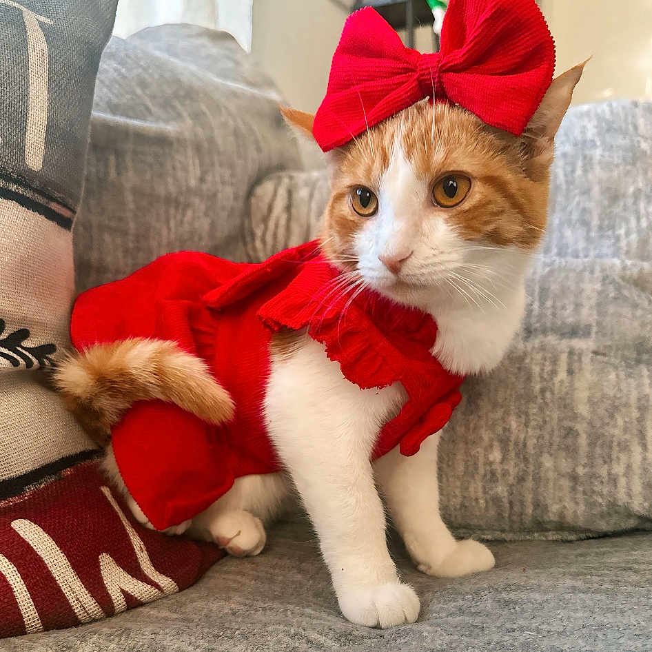 Tilly Jo