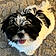 Pepper