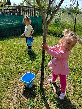 Luccia participe au concours pour gagner de l'argent avec cette photo : child, footwear, fun, grass, grass_family, green, happy, lawn, leisure, nature, people_in_nature, person, plant, play, recreation, shoe, shorts, sneakers, soil, toddler