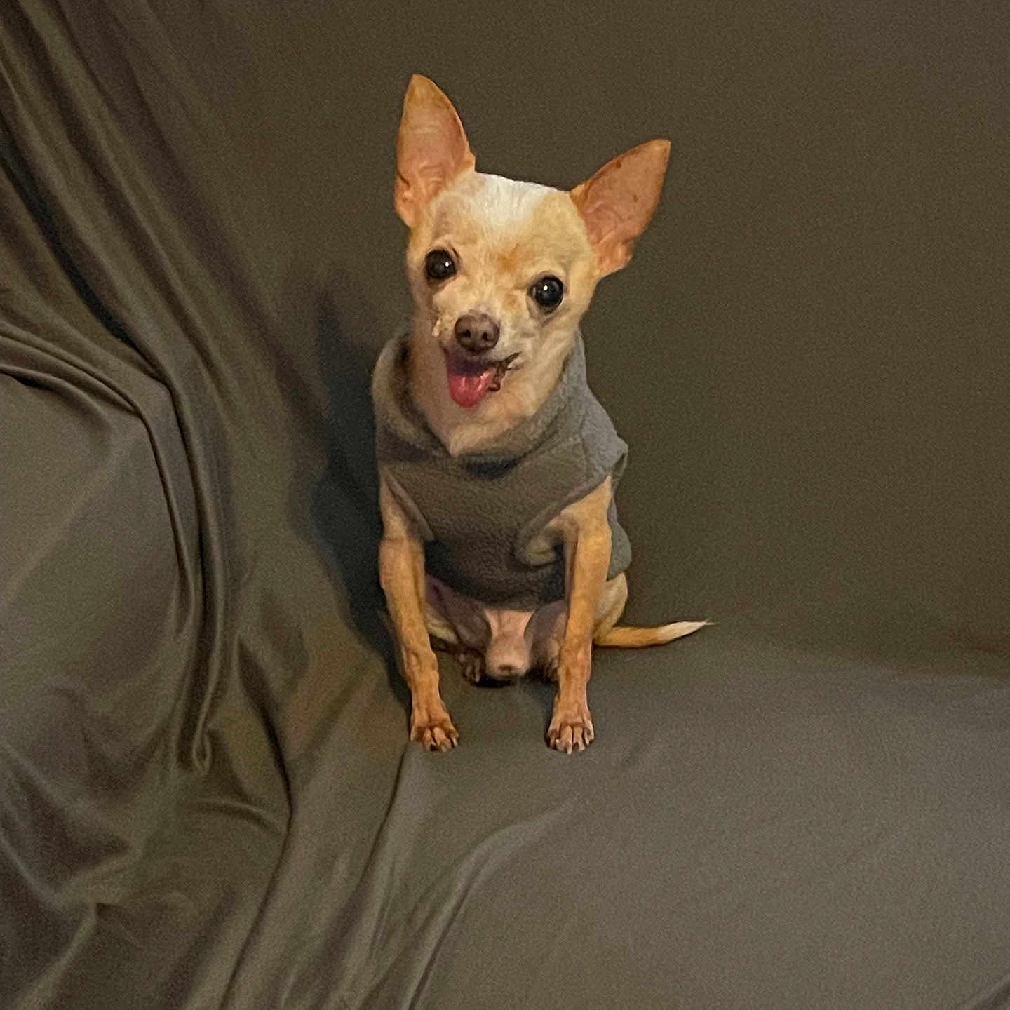 Pako