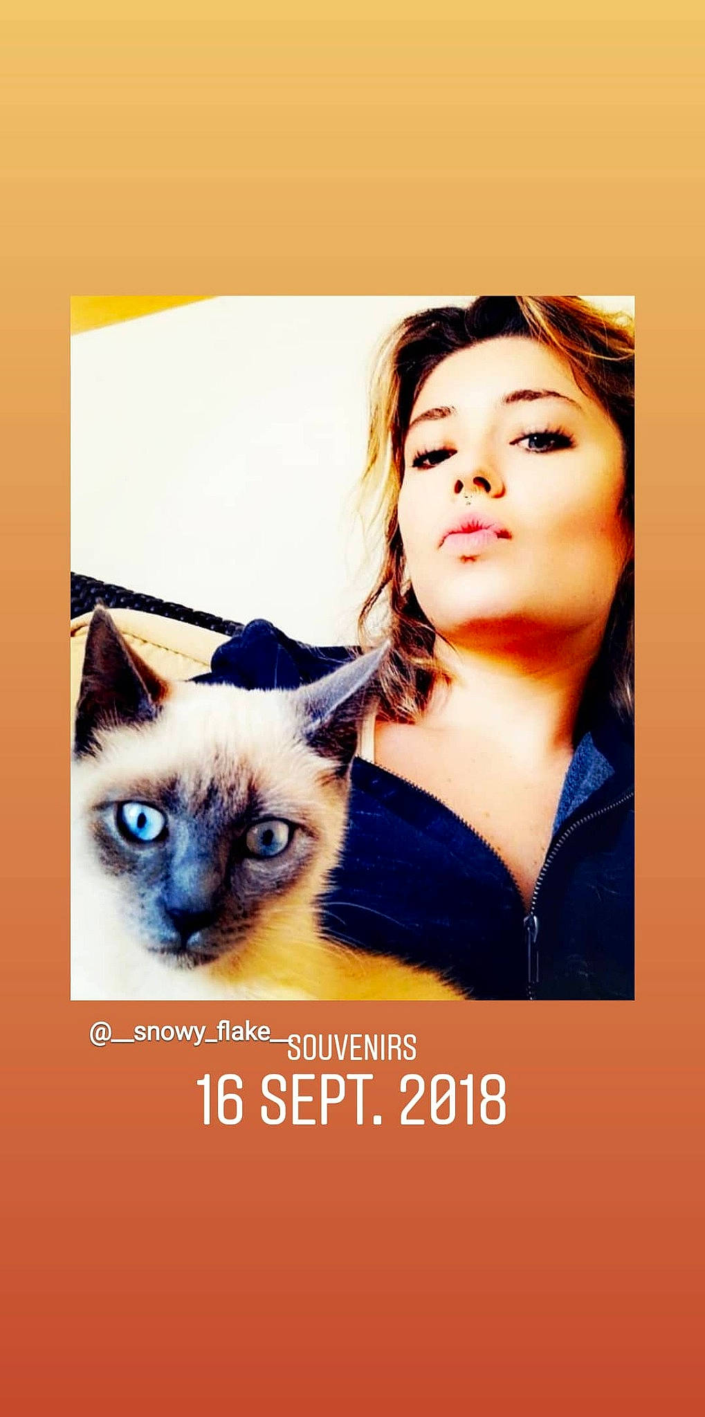 Oxa participe au concours pour gagner de l'argent avec cette photo : balinese, birman, carnivore, cat, ear, eye, fawn, felidae, nose, photo_caption, photography, poster, selfie, siamese, small_to_medium_sized_cats, smile, snapshot, thai, tonkinese, whiskers