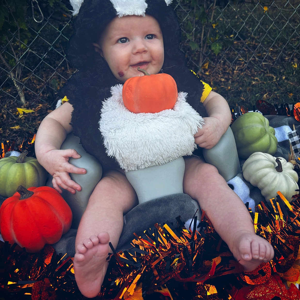 Willow joined the competition — help win amazing prizes! autumn, baby, child, costume, cute, decorations, fence, festive, grass, green, halloween, holiday, infant, orange, outdoor, pumpkin, seat, skunk, smile, white