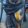 dog, scarf, yellow_harness, leash, sitting, outdoor, pavement, brown_fur, black_fur, white_paws, plaid_pattern, pet_accessory, canine, calm, closeup, portrait, furry, animal, domestic_animal, looking_at_camera