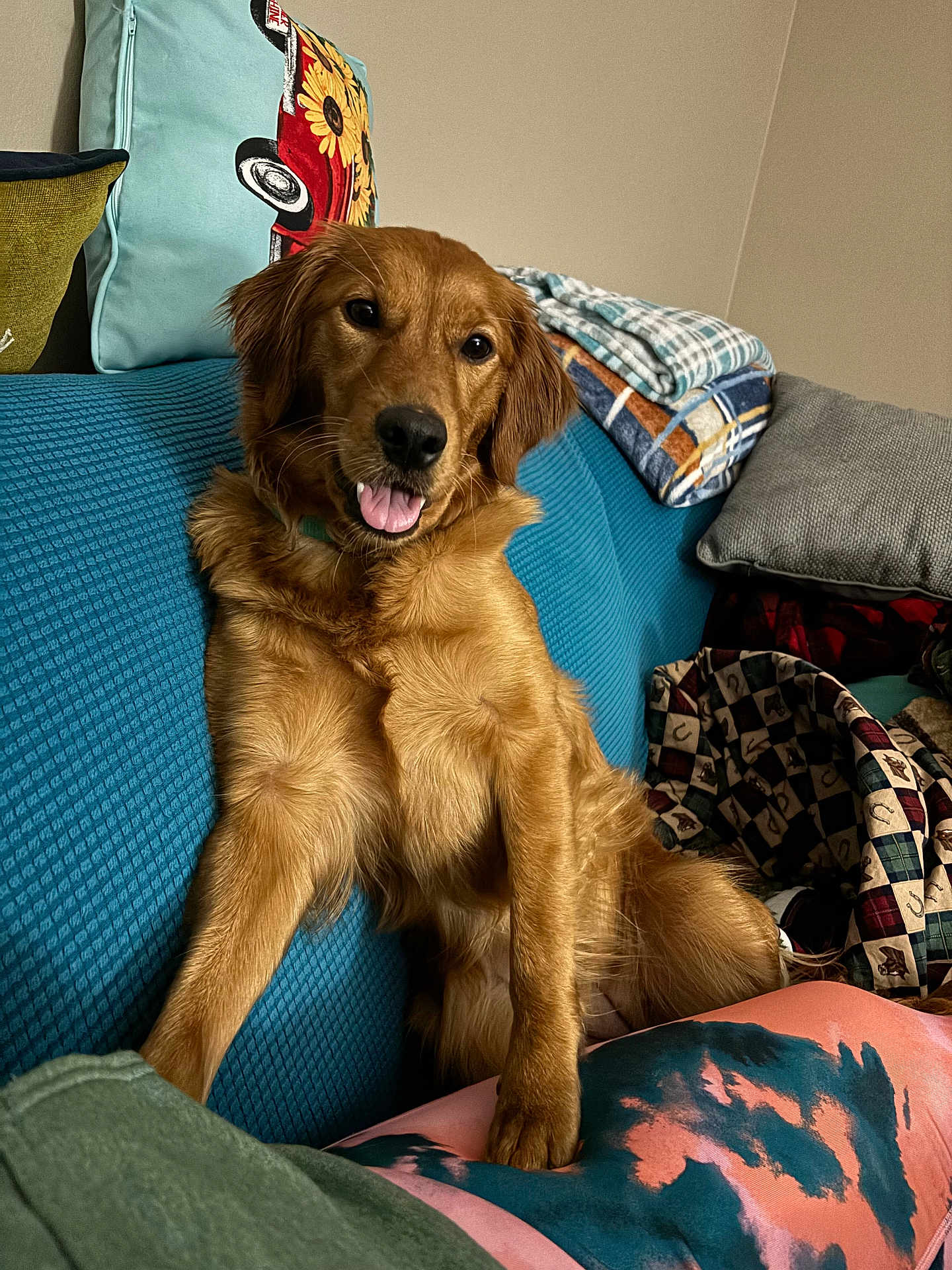 Penny