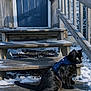 black_cat, cat, harness, snow, wooden_steps, porch, blue_door, door, railing, house_siding, outdoor, pet, green_eyes, whiskers, tail, shadow, winter, stairs, wood_texture, sunlight