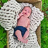 baby, basket, blanket, blue_clothing, child, flora, greenery, leaves, nature, outdoor, plant, portrait, small_child, soft_texture, summer, toddler, wooden_basket, young_child, yellow_flowers, resting