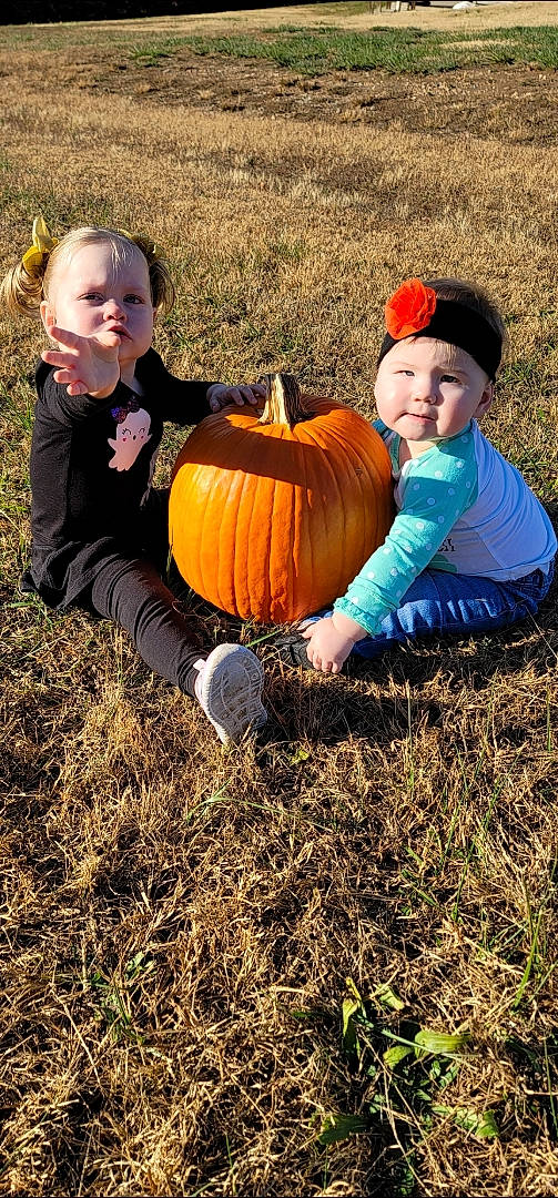 Annabelle is registered to the contest to win money with this photo: baby_toddler_clothing, calabaza, child, cucurbita, eye, gourd, grass, hand, happy, head, headwear, human_body, leaf, natural_foods, people_in_nature, person, plant, pumpkin, squash, toddler