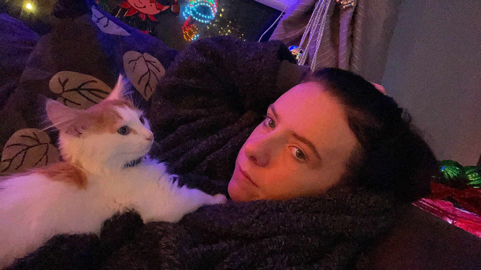 Biscuit joined the competition — help win amazing prizes! animal_product, black_hair, carnivore, cat, curtain, eyelash, felidae, fur, fur_clothing, iris, love, natural_material, purple, selfie, small_to_medium_sized_cats, violet, whiskers