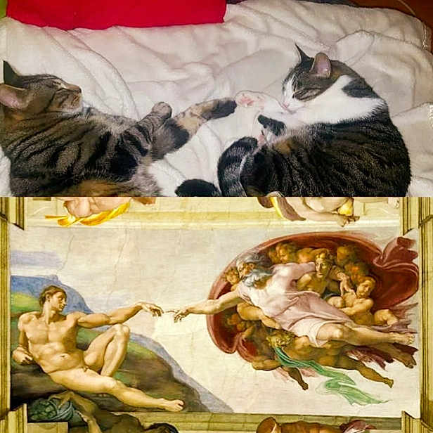 Burton And Clancy is registered to the contest to win money with this photo: art, cat, collage, felidae, fictional_character, kitten, mythology, painting, small_to_medium_sized_cats, visual_arts