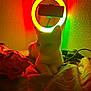 Princess joined the competition — help win amazing prizes! cat, bed, blanket, lamp, circular_lamp, colorful_light, red_light, green_light, yellow_light, wall, indoor, pet, animal, relaxing, cozy, shadow, soft_light, cables, electronic_device, resting