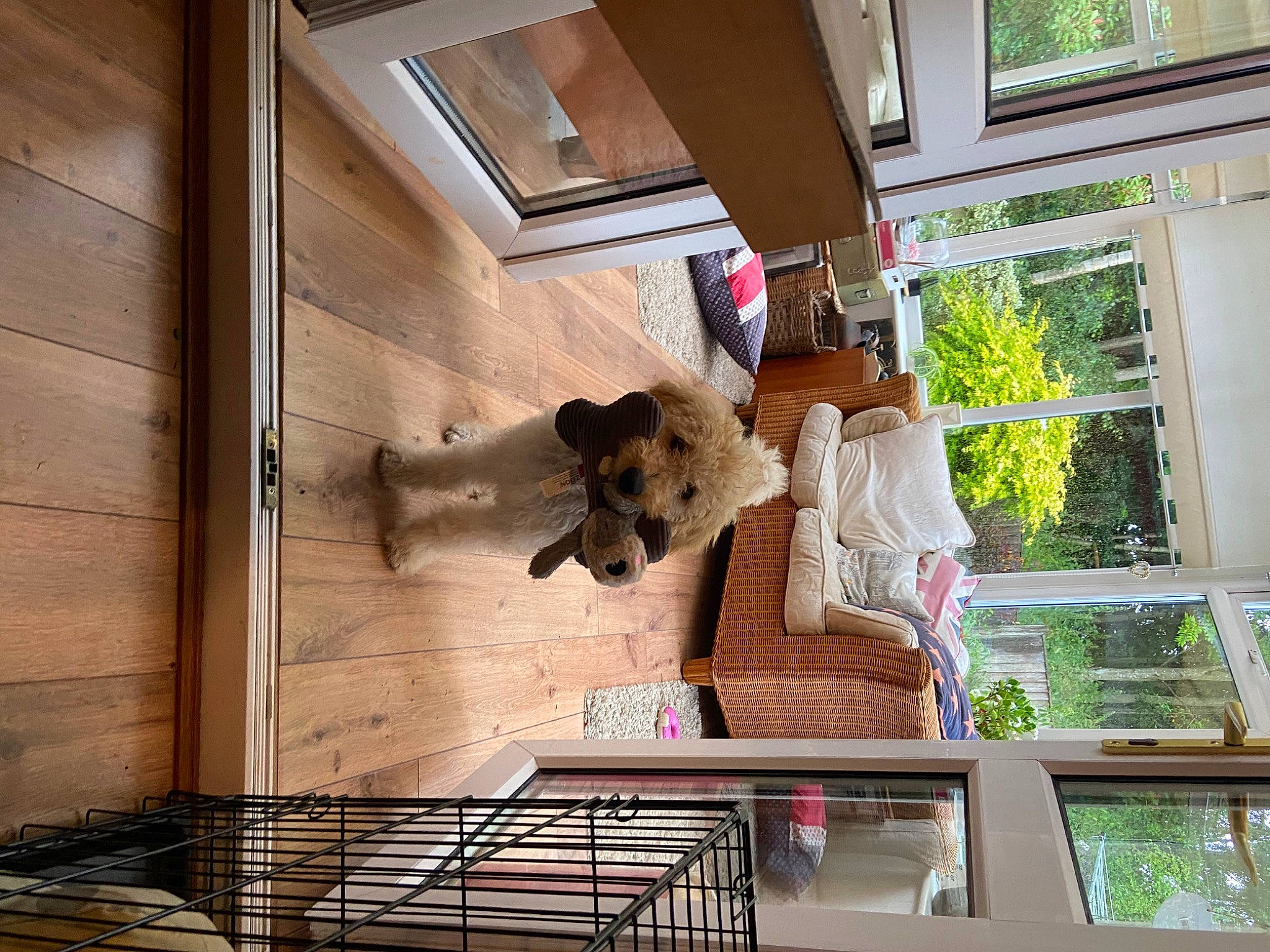 Homer is registered to the contest to win money with this photo: art, beam, building, ceiling, facade, floor, flooring, hardwood, house, interior_design, plant, real_estate, snapshot, stairs, textile, tree, wall, window, wood, wood_stain