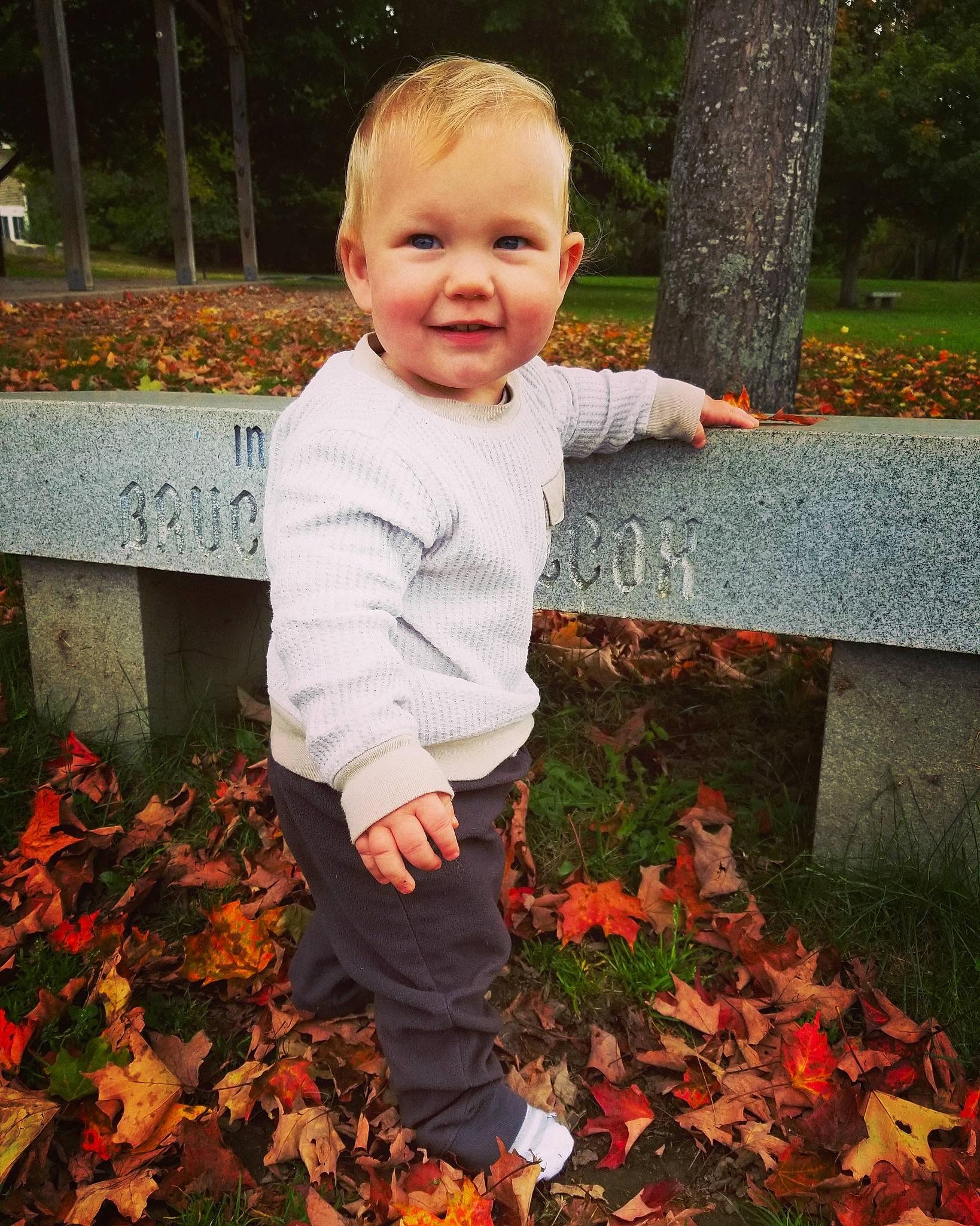 Granger is registered to the contest to win money with this photo: baby, baby_toddler_clothing, botany, child, deciduous, garden, grass, groundcover, happy, joy, nature, orange, people_in_nature, person, plant, smile, spring, tints_and_shades, toddler, tree