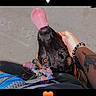 dog, tongue, pet, hand, tattoo, bracelet, pavement, leash, shoe, clothing, outdoor, sunlight, person, looking_up, close_up, playful, happy, black_dog, brown_eyes, casual