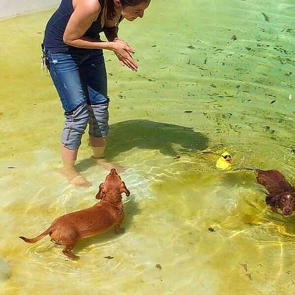 Dakota And Diesel joined the competition — help win amazing prizes!