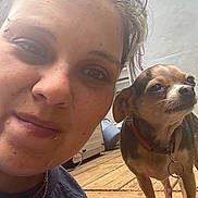 Cricket joined the competition — help win amazing prizes! person, face, dog, chihuahua, pet, selfie, portrait, close_up, piercing, lip_piercing, eyebrow_piercing, collar, dog_tag, wooden_deck, outdoor, jewelry, smile, eye, nose, candid