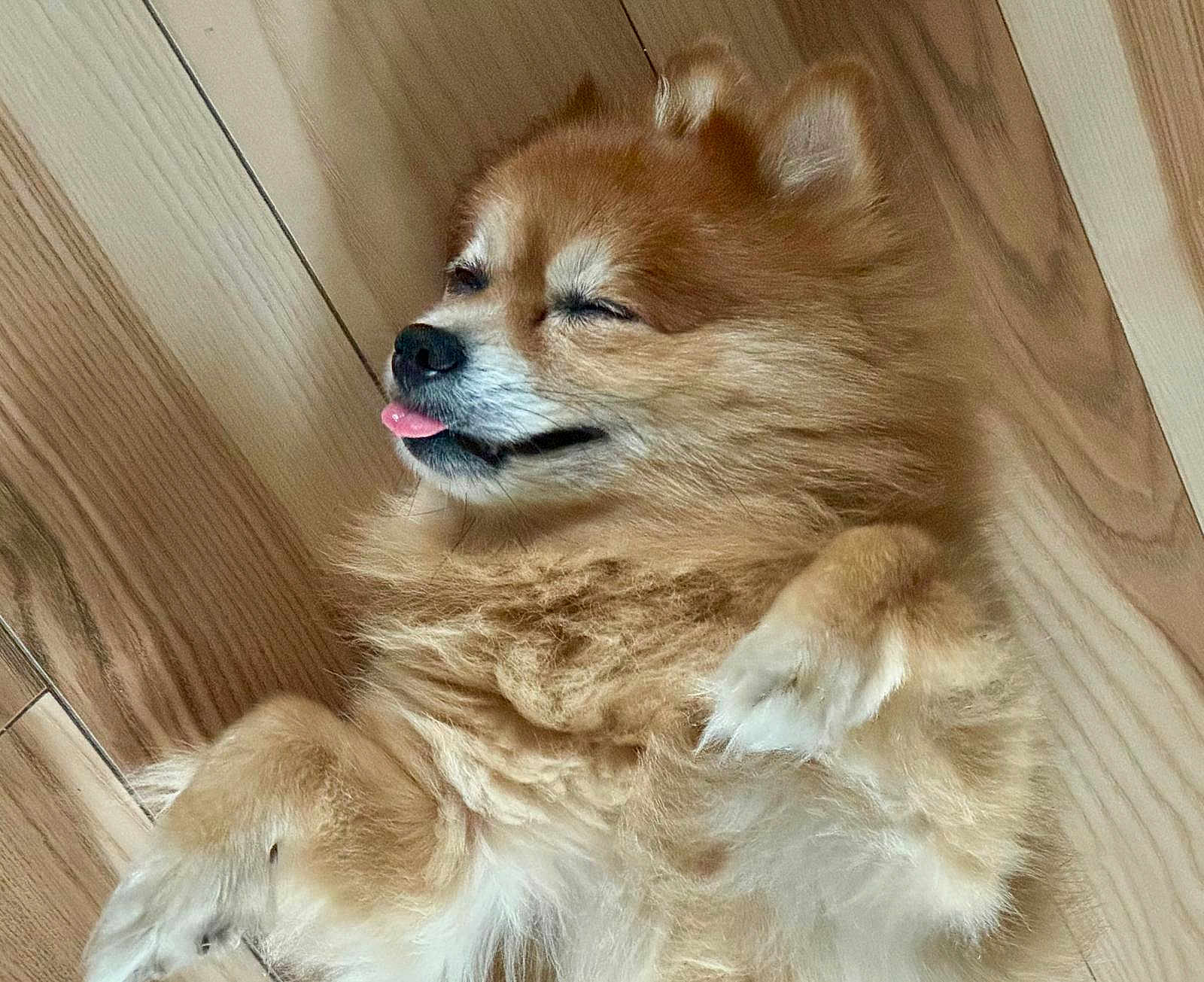 Rocko