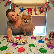 Rocko is registered to the contest to win money with this photo: woman, dog, birthday, party_hat, table, cake, birthday_card, balloons, banner, celebration, indoor, smiling, decorations, party, pet, happy, person, festive, colorful, event