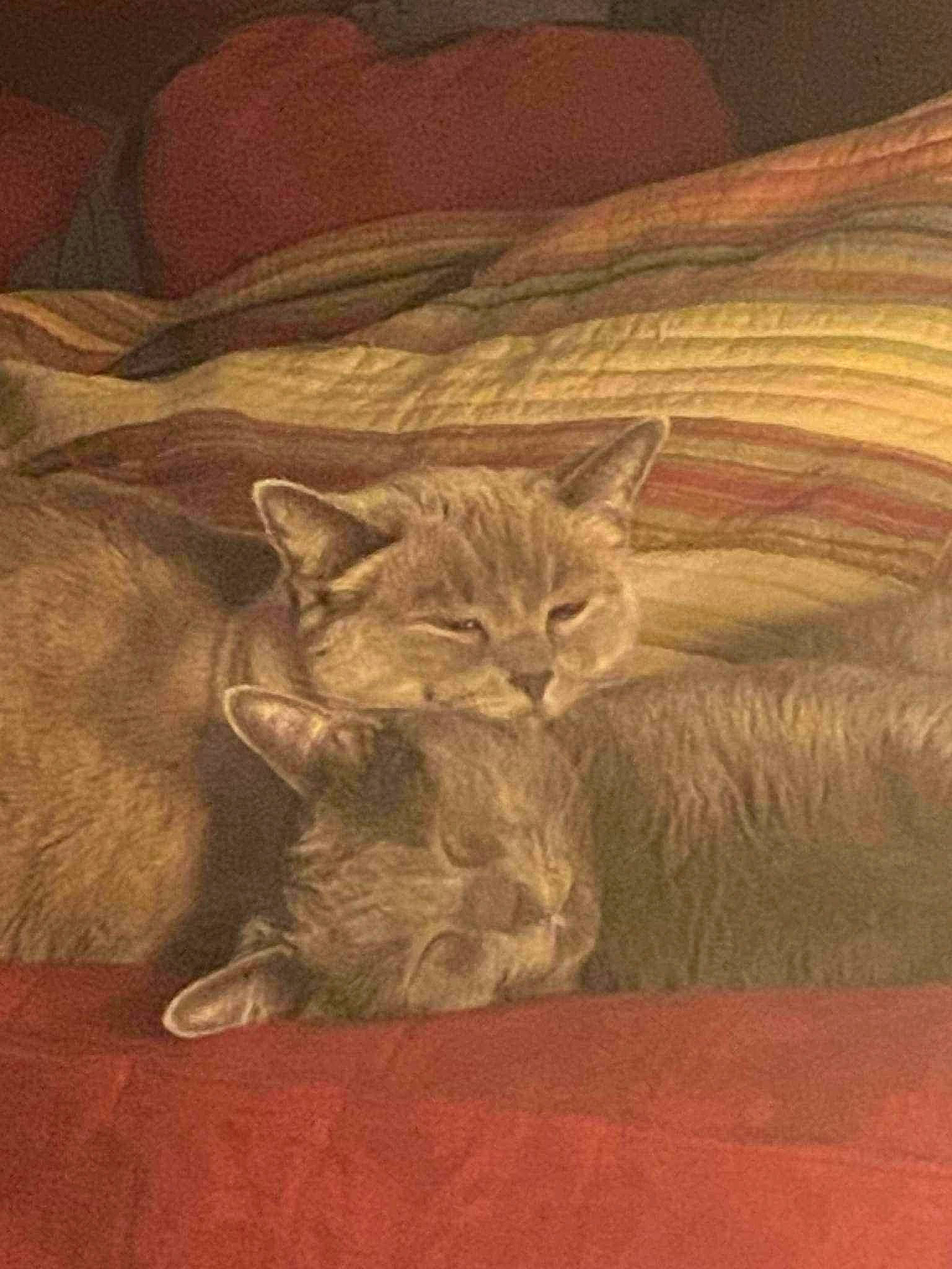 Warrior is registered to the contest to win money with this photo: art, brown, carnivore, cat, domestic_short_haired_cat, drawing, fawn, felidae, fur, grey, illustration, painting, small_to_medium_sized_cats, snout, tail, terrestrial_animal, visual_arts, whiskers, wildlife, wood