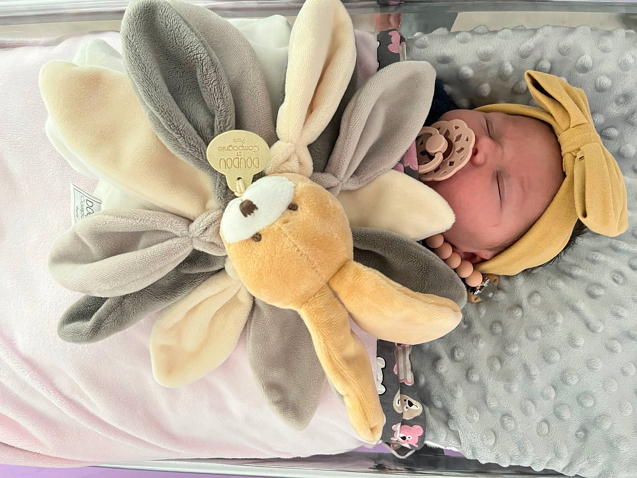 Héloïse participe au concours pour gagner de l'argent avec cette photo : auto_part, beige, costume_hat, fashion_accessory, fawn, flower, hair_accessory, hat, headband, headgear, headpiece, headwear, jewellery, linens, pattern, person, petal, stuffed_toy, sun_hat, textile