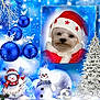 animal, background, blue_ornaments, celebration, christmas, christmas_costume, cute, decoration, digital_edit, dog, festive, frame, holiday, portrait, santa_hat, snow, snowman, snowy_scene, white_tree, winter