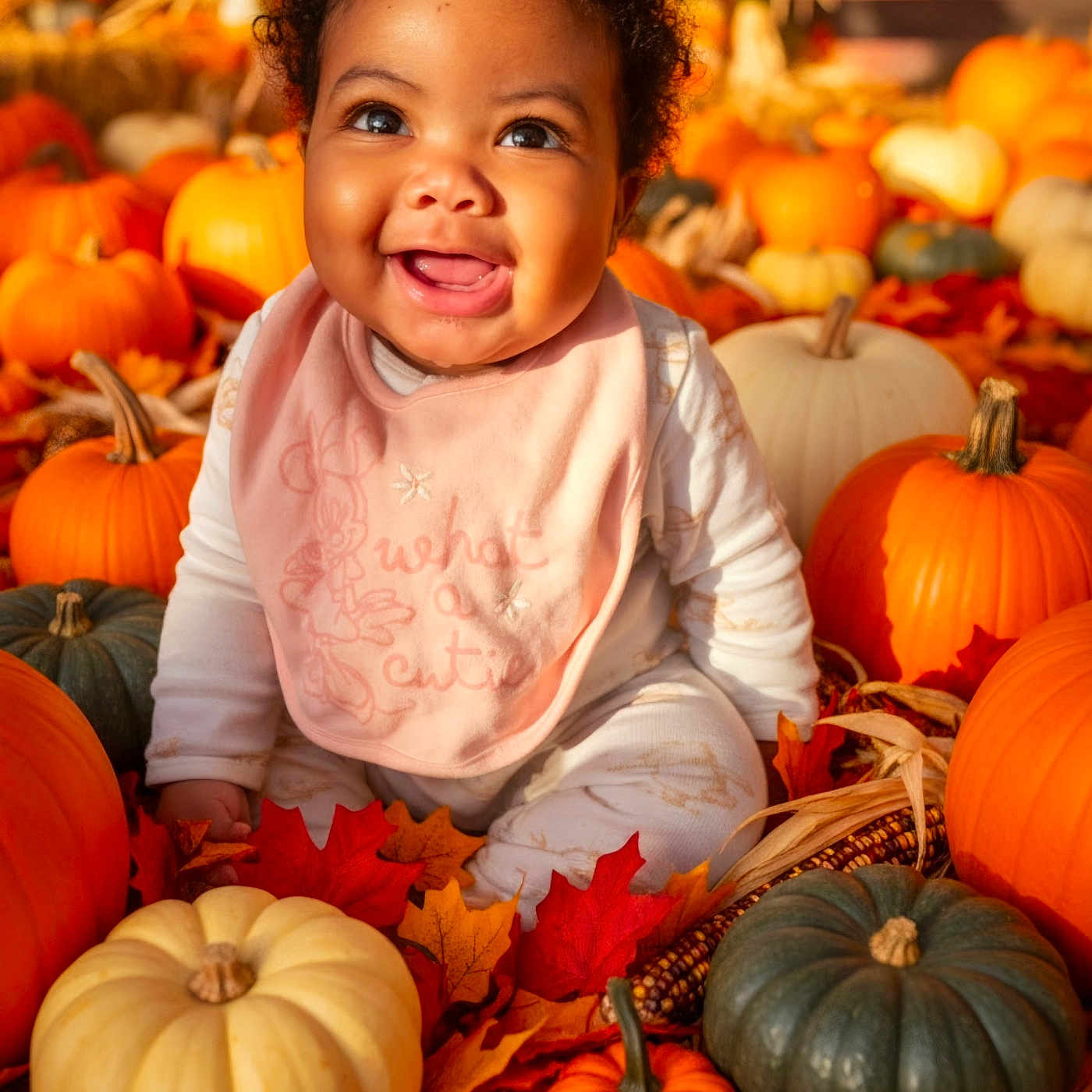 Ailah is registered to the contest to win money with this photo: baby, child, infant, smiling, happy, portrait, curly_hair, sitting, autumn, fall, pumpkins, gourds, leaves, orange, harvest, seasonal, outdoor, bib, clothing, ai_generated