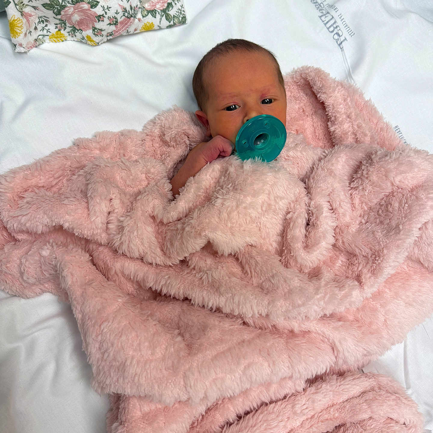 Saria joined the competition — help win amazing prizes! baby, blanket, cozy, cute, face, floral_cloth, fluffy, hand, head, indoors, infant, lying_down, newborn, pacifier, pink, resting, small, soft_texture, white_background, wrapped