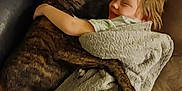 Trigger joined the competition — help win amazing prizes! child, dog, blanket, couch, hugging, indoor, friendship, smiling, snuggling, cozy, brindle, pet, comfort, warmth, relaxation, furniture, young, cute, happy, bond