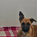 Yasmina R.