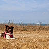 Akira a rejoint le concours — aidez-le/la à gagner de superbes lots ! animal, border_collie, coast, dog, dry_grass, field, happy, leash, lying_down, nature, ocean, outdoor, pet, pink_harness, sea, seaside, sitting, sky, sunny, tongue