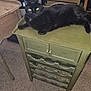Shadow Magic is registered to the contest to win money with this photo: animal, black_cat, cabinet, carpet, cat, domestic_cat, drawer, eyes, feline, four_legs, furniture, green_cabinet, home, indoor, knobs, pet, relaxing, resting, table_leg, wooden_table