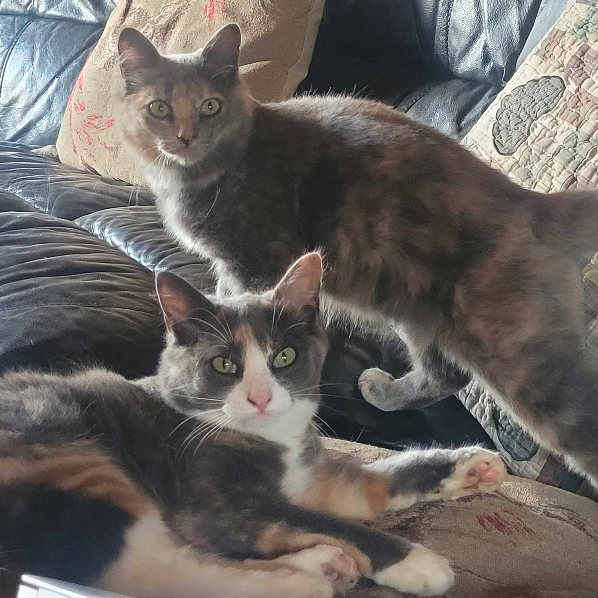Honey And Winnie